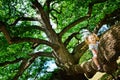 Happy toddler girl sitting on branch huge tree