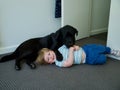 Happy toddler playing with pet dog Royalty Free Stock Photo