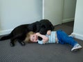 Happy toddler playing with pet dog Royalty Free Stock Photo