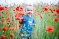 happy toddler smiling in a field of poppies Royalty Free Stock Photo