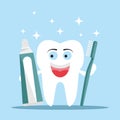 Happy tooth. A white clean tooth holds the toothpaste and toothbrush. The concept of brushing your teeth. Hygiene of the oral