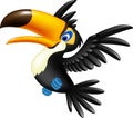 Happy toucan flying