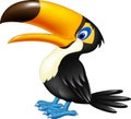 Happy toucan posing