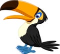 Happy toucan posing