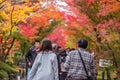 Happy tourists enjoying with beautiful nature in Autumn foliage season, group traveler visit in Kyoto city, Japan and looking