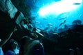 Happy tourists take photos of aquarium, Hong Kong Ocean Park Royalty Free Stock Photo