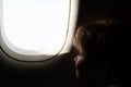 Happy travel memoirs. The child sits at the window of the plane. Happy flight home. Royalty Free Stock Photo