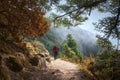 Happy Traveler Hiking with Backpack on the Beautiful Rocky Trail at Warm Sunny days in mountains Himalaya. Royalty Free Stock Photo