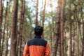 Happy Traveler Man Standing And Looking Pine Tree Forest, Solo Tourist In Orange Sweater Traveling At Pang Oung, Mae Hong Son,