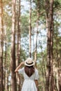 Happy traveler woman standing and looking Pine tree forest, solo tourist in white dress and hat traveling at Pang Oung, Mae Hong