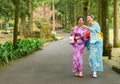 Happy traveler women walking on tree path in japan Royalty Free Stock Photo