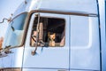 Happy truck driver . dog driving truck Royalty Free Stock Photo