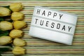 Happy Tuesday text in light box with space copy flat lay on colorful background