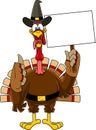 Happy Turkey Bird Cartoon Characters Showing Thumbs Up And Holding A Blank Sign