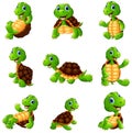 Happy turtle cartoon collection set