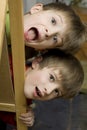 Happy twins brothers shouting Royalty Free Stock Photo