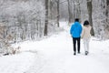 Happy unrecognizable older couple walking in a winter forest exp