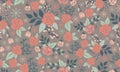 Happy valentine Elegant peach rose flower, floral pattern wallpaper background Royalty Free Stock Photo