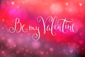 Happy Valentine's Day Royalty Free Stock Photo