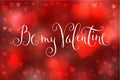 Happy Valentine's Day Royalty Free Stock Photo