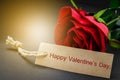 Happy valentine`s day card with red rose. Royalty Free Stock Photo