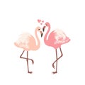 Happy Valentine`s Day! Greeting card with cute flamingos Royalty Free Stock Photo