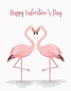 Happy Valentine\'s Day Greeting Card with Flamingo Love Vector