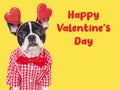 Happy Valentine's Day. Lovable puppy and congratulatory inscription