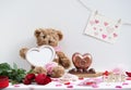 Happy Valentine`s day. Teddy bear plush doll holding an empty beautiful pink heart frame for insert your personal message or phot Royalty Free Stock Photo