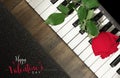 Happy Valentine`s Day Text Script Font Greeting Card with Romantic Red Rose, Keyboard, Floor, and Rug. Royalty Free Stock Photo