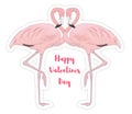 Happy Valentines Day card with flamingo on the white background