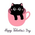 Happy Valentines Day. Cat in tea coffee cup. Paws hand. Black kitten with pink ears, cheeks. Cute cartoon funny baby animal pet Royalty Free Stock Photo