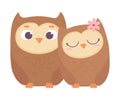 Happy valentines day, cute couple owls love romantic