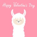 Happy Valentines Day. Llama alpaca animal face head neck. No drama. Cute cartoon funny kawaii smiling character. Childish baby