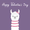 Happy Valentines Day. Llama alpaca girl animal face head neck. Cute cartoon funny kawaii smiling baby character. No drama. Love