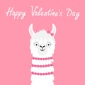 Happy Valentines Day. Llama alpaca girl animal face head neck. Cute cartoon funny kawaii smiling character. No drama. Childish