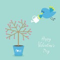 Happy Valentines Day. Love card. Tree in the pot. Heart flower. Bird with watering can. Blue background. Flat design Royalty Free Stock Photo