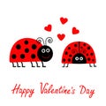 Happy Valentines Day. Love card. Two cartoon pink lady bug couple with hearts Flat design