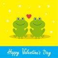 Happy Valentines Day. Love card. Two cute frogs. Red heart. Baby background Flat design Sparkles
