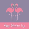 Happy Valentines day. Pink flamingo couple neck heart shape. Exotic tropical bird. Royalty Free Stock Photo