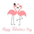 Happy Valentines Day. Pink flamingo set. Wedding couple. Exotic tropical bird. Black hat, veil, heart. Bride and groom. Cute