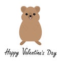 Happy Valentines Day. Qokka. Cute cartoon kawaii funny character. Smiling laughing animal of Australia. Flat design. Isolated.