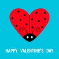 Happy Valentines Day. Red flying lady bug insect in shape of heart. Black dot pattern. Cute cartoonfunny kawaii baby character. Lo Royalty Free Stock Photo