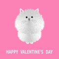 Happy Valentines day. Sitting cat icon. White fluffy kitten. Face head body. Fat round kitty. Cute cartoon character. Kawaii baby Royalty Free Stock Photo