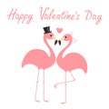 Happy Valentines Day. Two pink flamingo set. Wedding couple. Bride and groom. Black hat, veil, heart. Exotic tropical bird. Cute