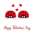 Happy Valentines Day. Two red lady bug ladybird icon set couple with hearts. Cute cartoon kawaii funny baby character. Love Royalty Free Stock Photo