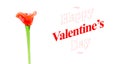 Happy Valentines day word with red glass flower on white background, Love concept Royalty Free Stock Photo