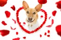 Happy valentines dog Royalty Free Stock Photo