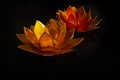 Happy Vesak Day Buddha Purnima Background. Candles during Vesak day celebration.