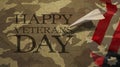 Happy Veterans Day. Paper Airplane and Camouflage Royalty Free Stock Photo